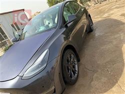 تسلا موديل Y